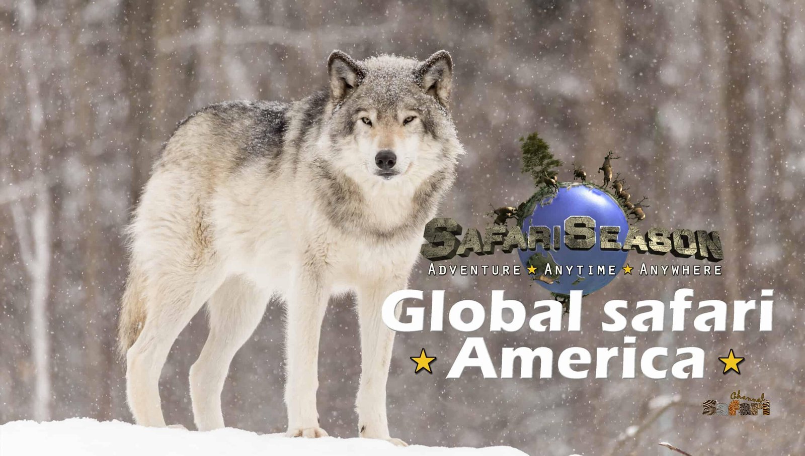 Global safari America: Safari Season 01/1