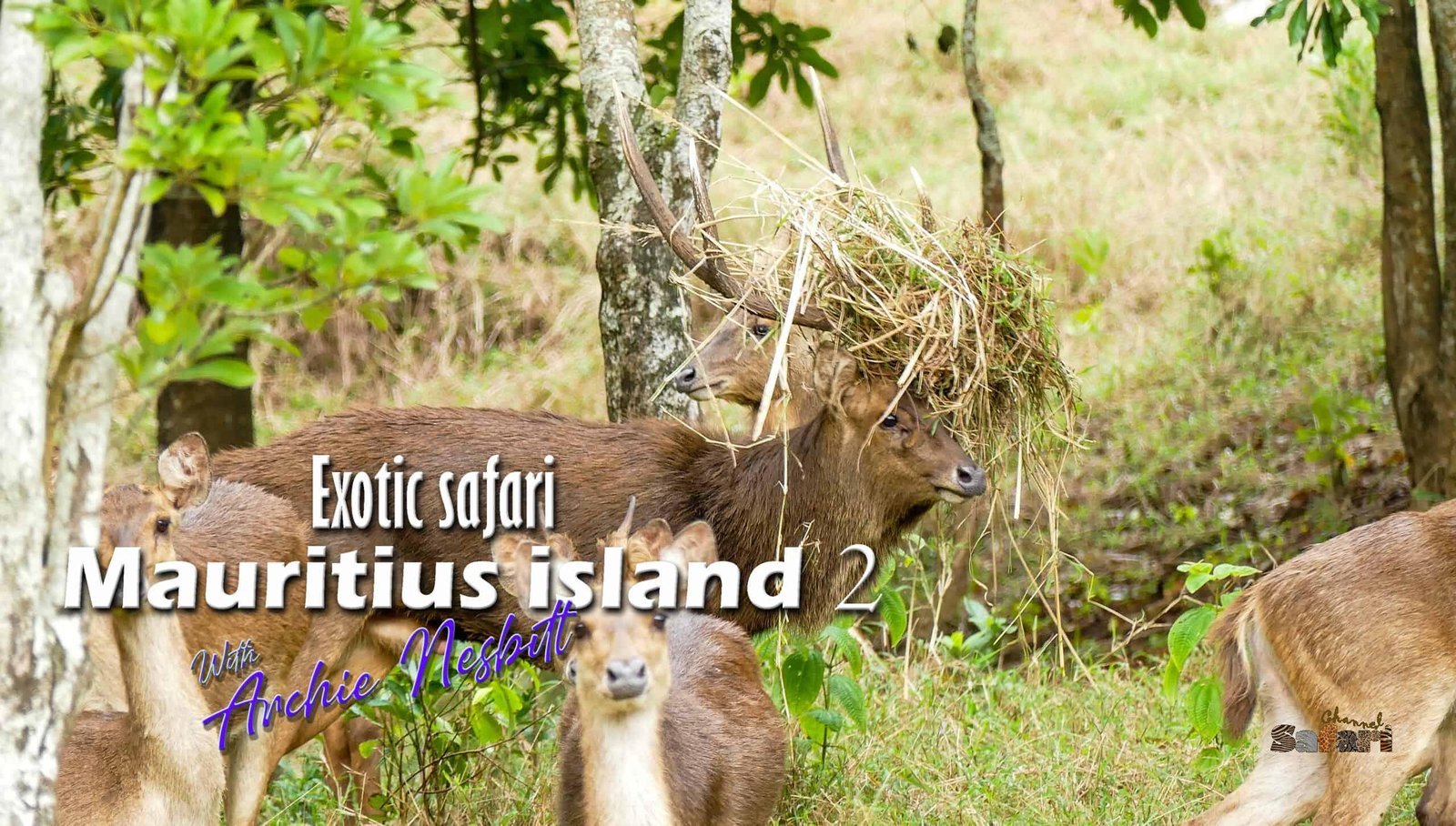 Exotic safari on Mauritius island 2: Safari Season 10/1