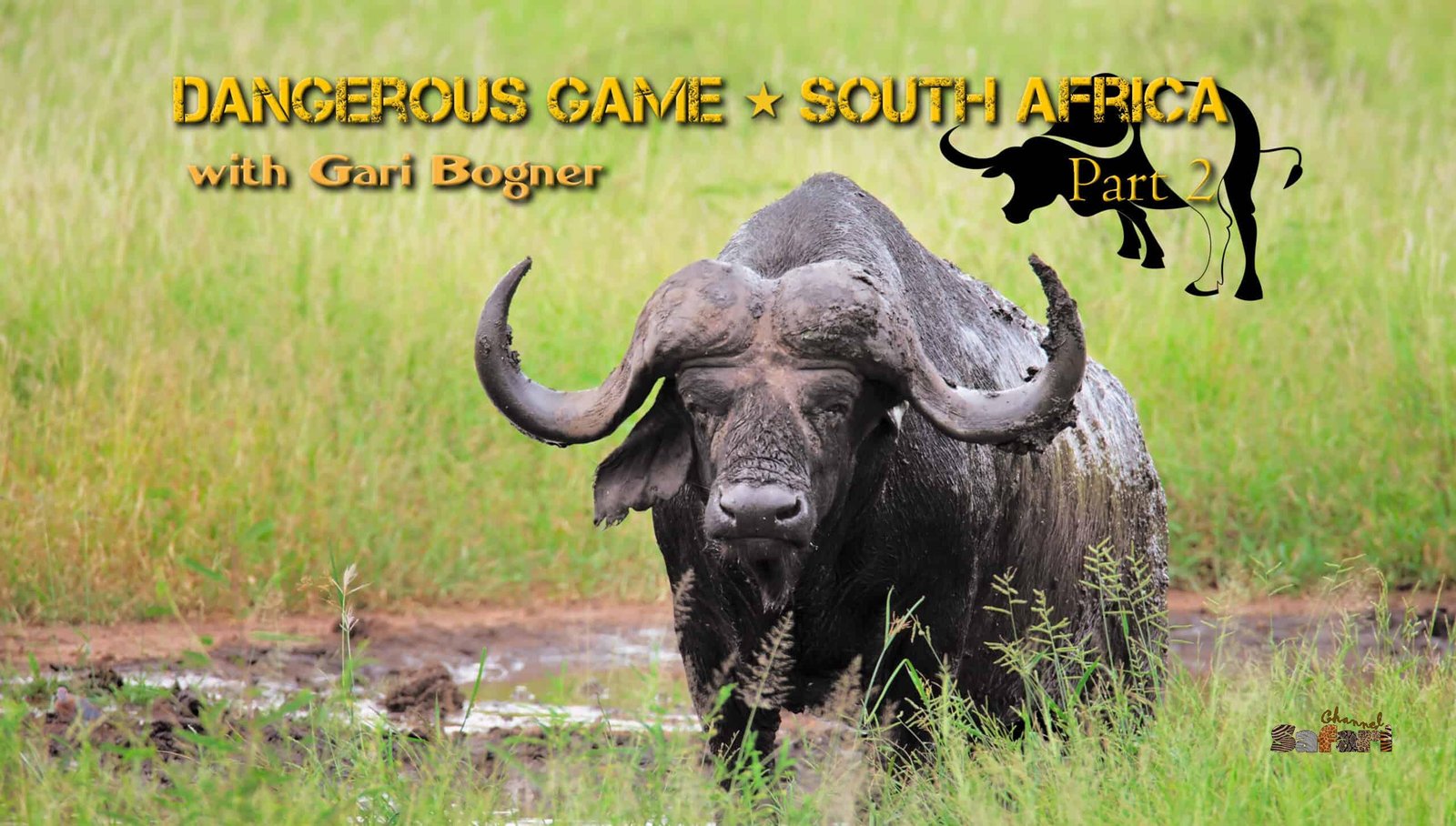 Dangerous game in South Africa 2: Safari Season 20/2