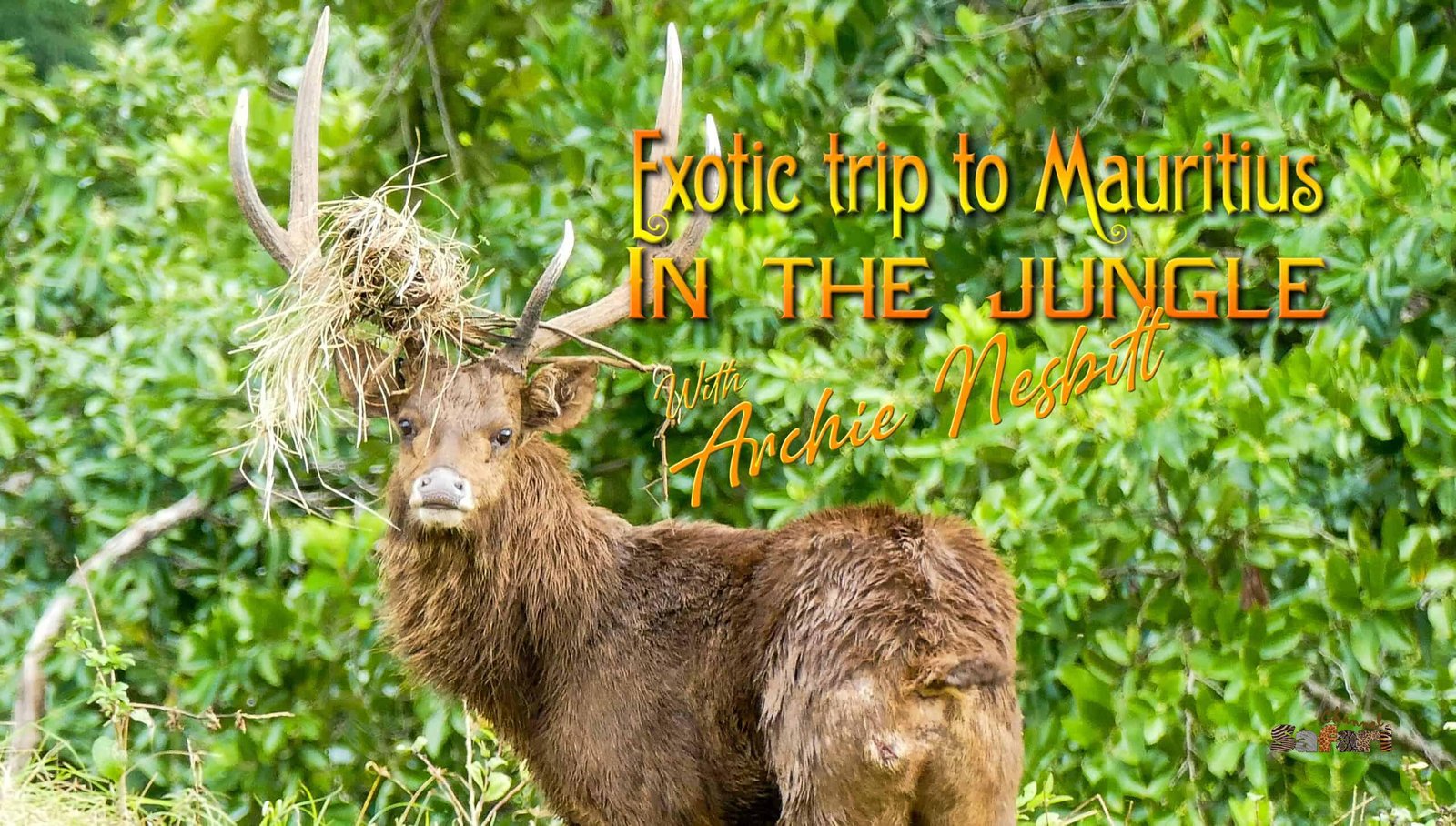 Exotic trip to Mauritius: In the jungle: Safari Season 26/3