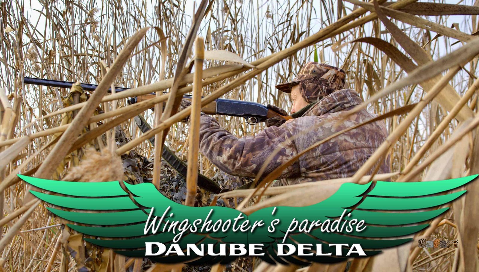 Wingshooter's paradise - Danube delta: Safari Season 37/4