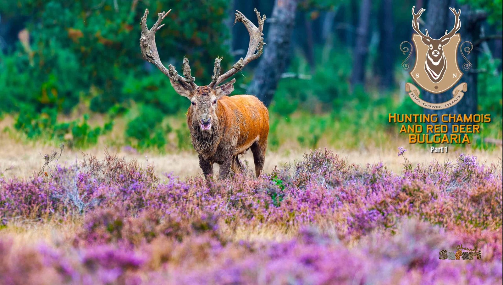 Big-game hunting Bulgaria 1: Safari Season 45/4