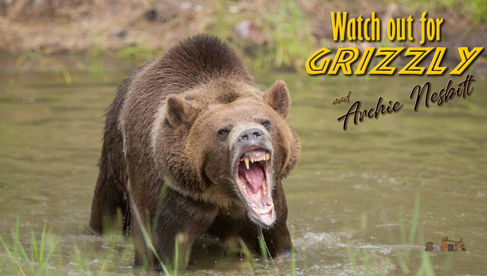 Watch out for grizzly : Safari Season 06/1