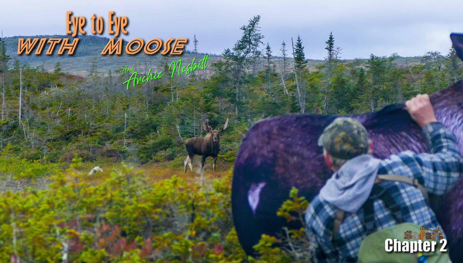 Eye to eye with Moose 2: Safari Season 82/7