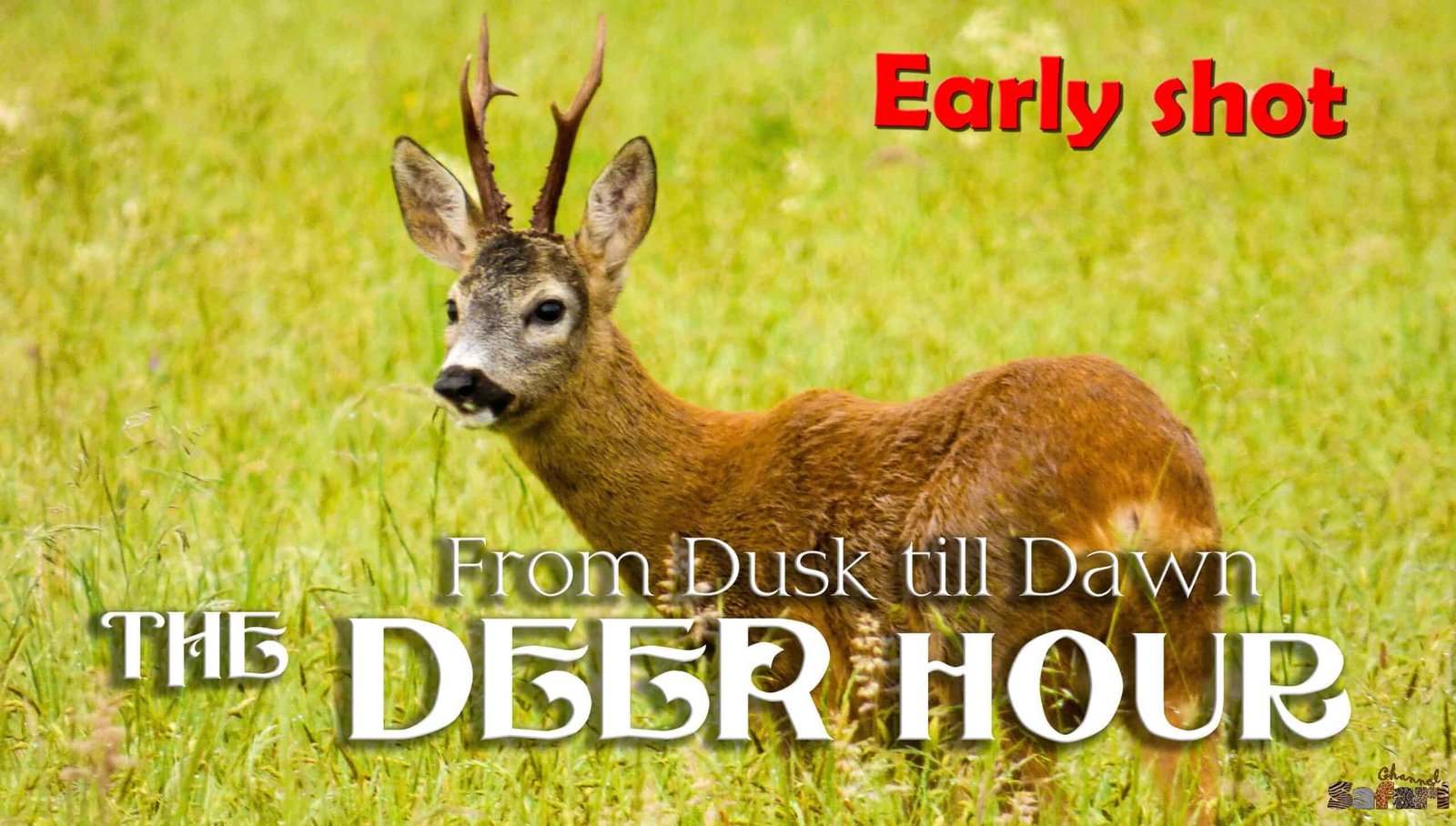 Early shot: The Deer hour 2
