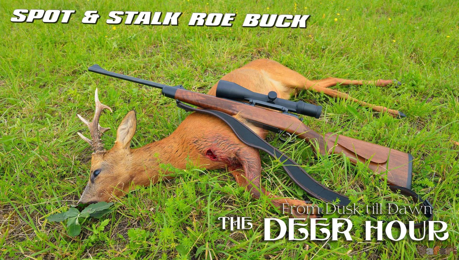 Spot & stalk Roe Buck: The Deer hour 4