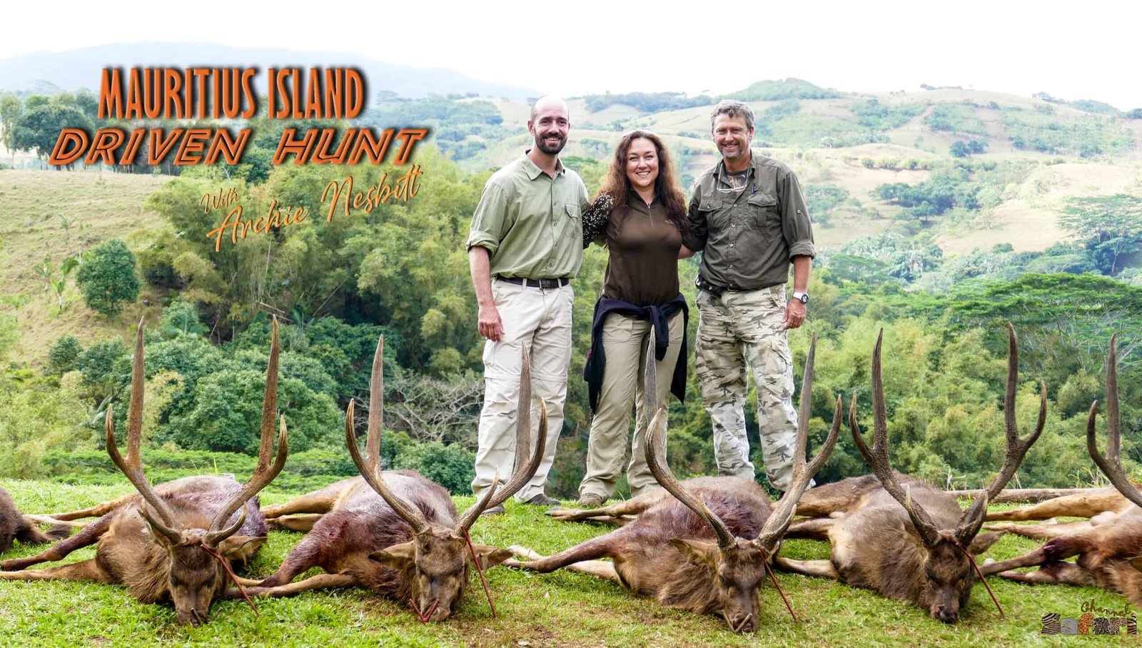 Driven hunt at the Mauritius Island: Safari Season 60/5