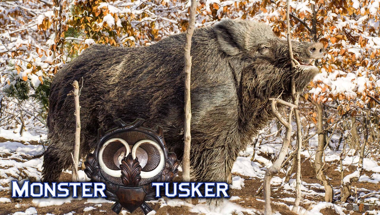 Monster tusker: Boars and Hunters 20/2