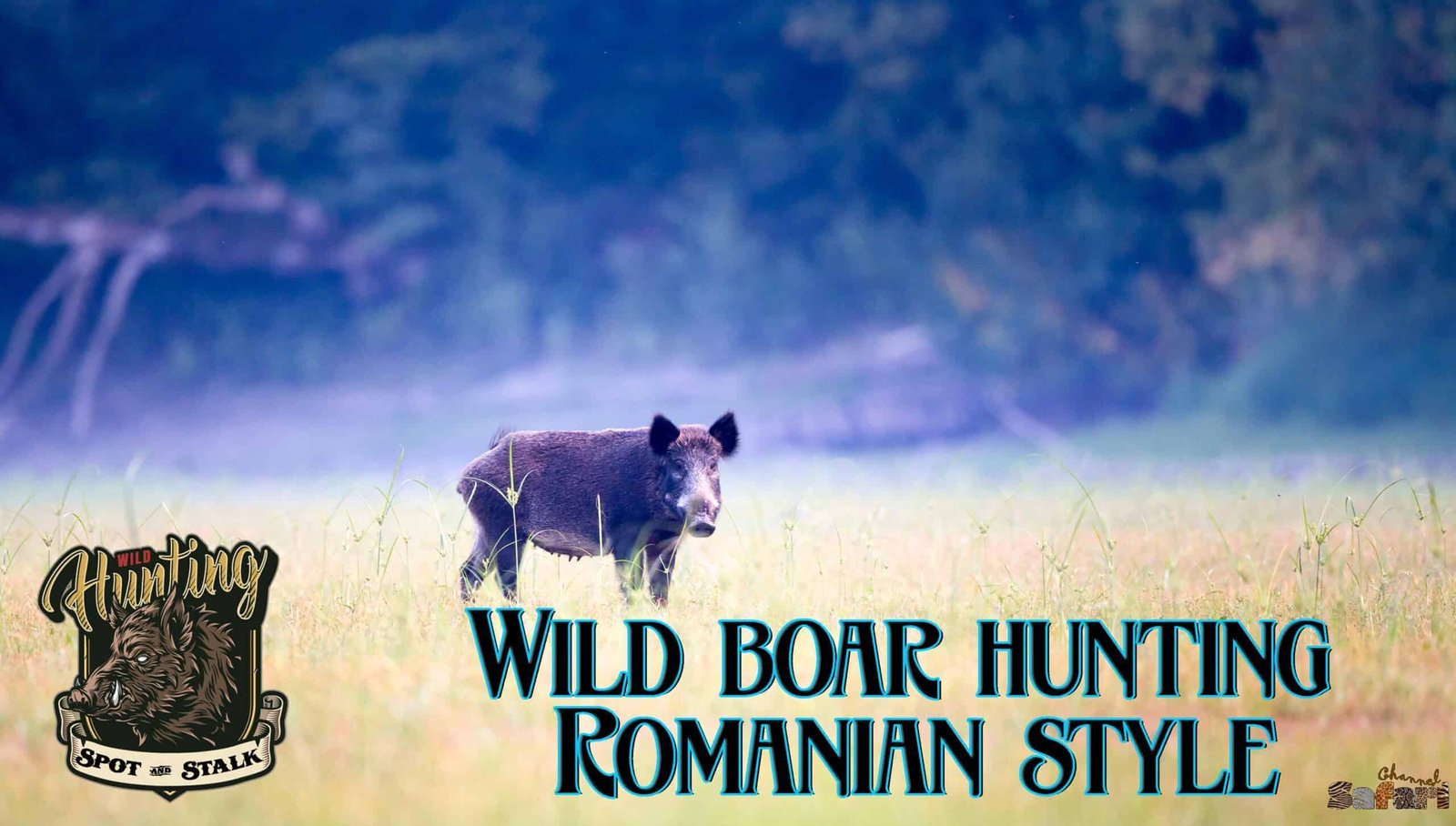 Wild boar hunting Romanian style: Boars and Hunters 25/3