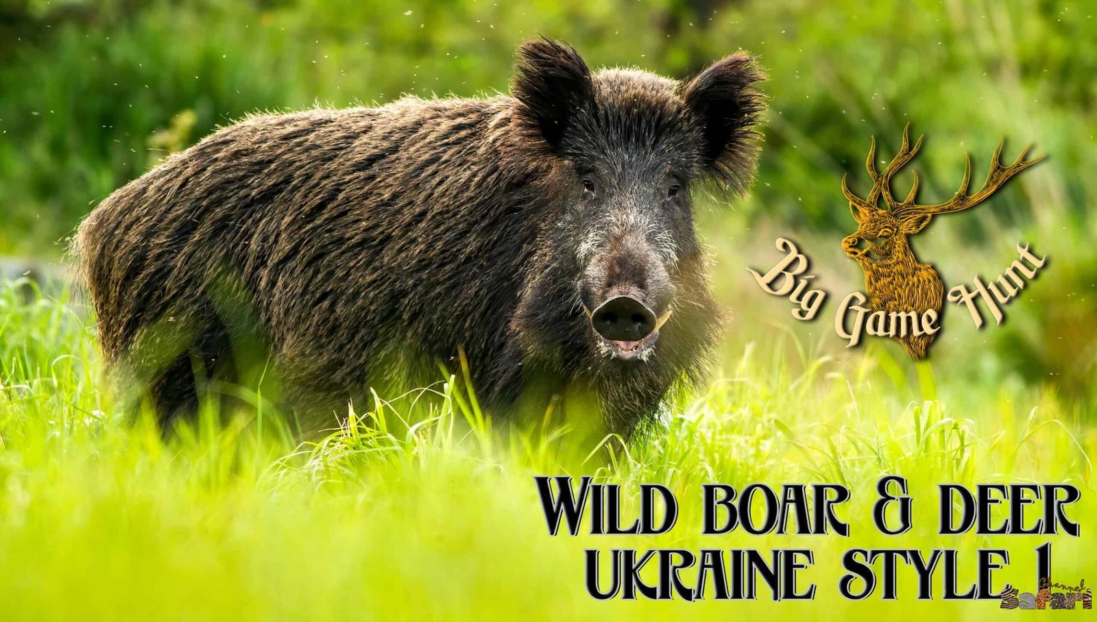 Boar and deer ukraine style 1: Boars and Hunters 35/3
