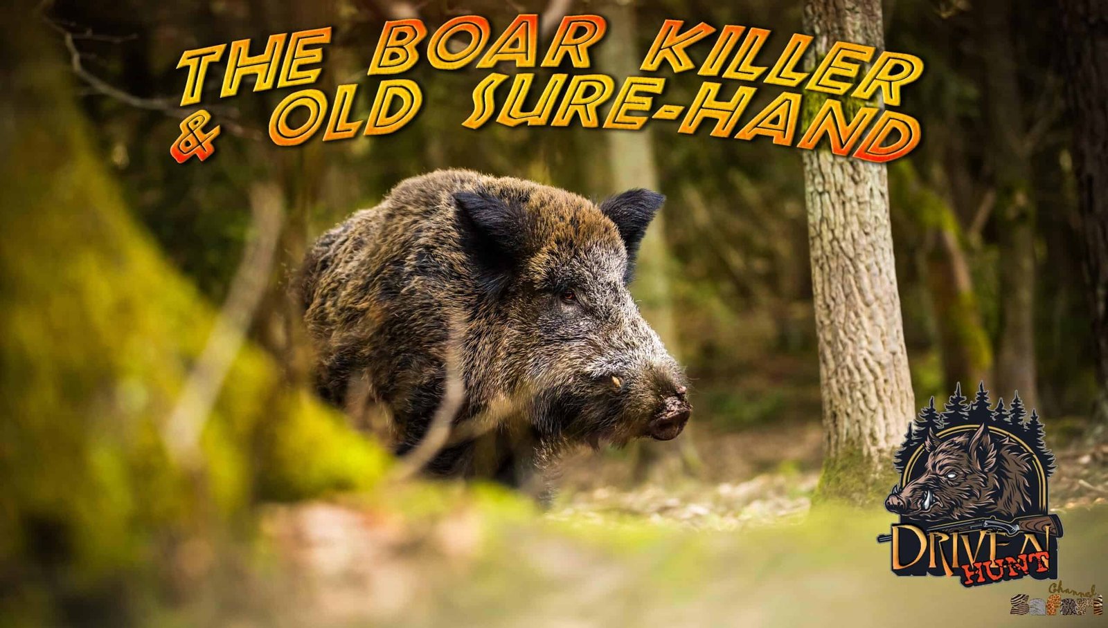 Boar killer and Old Sure-hand: Boars and Hunters 43/4