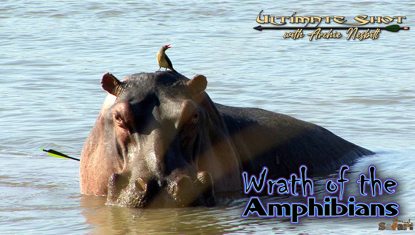Wrath of the Amphibians: Ultimate Shot 9/2