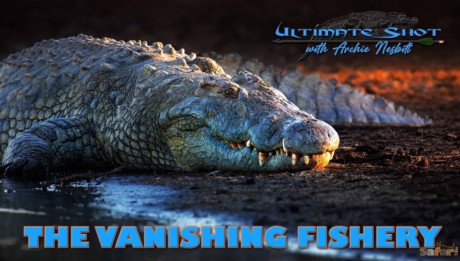 The vanishing fishery: Ultimate Shot 13/2