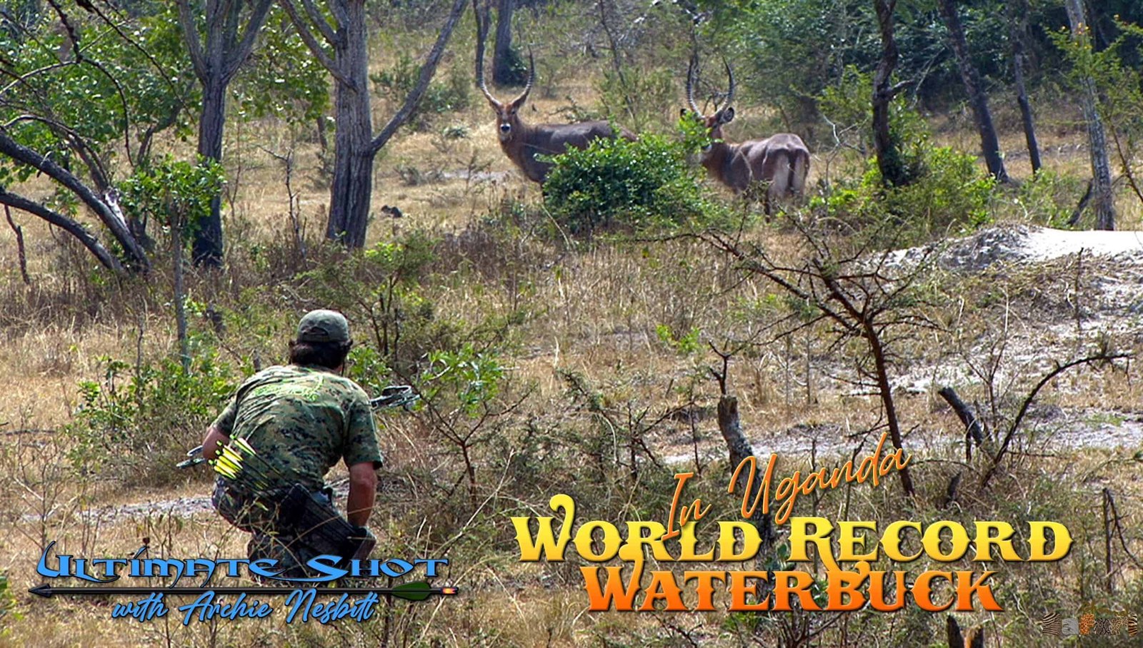 Uganda: The biggest waterbuck: Ultimate Shot 16/2