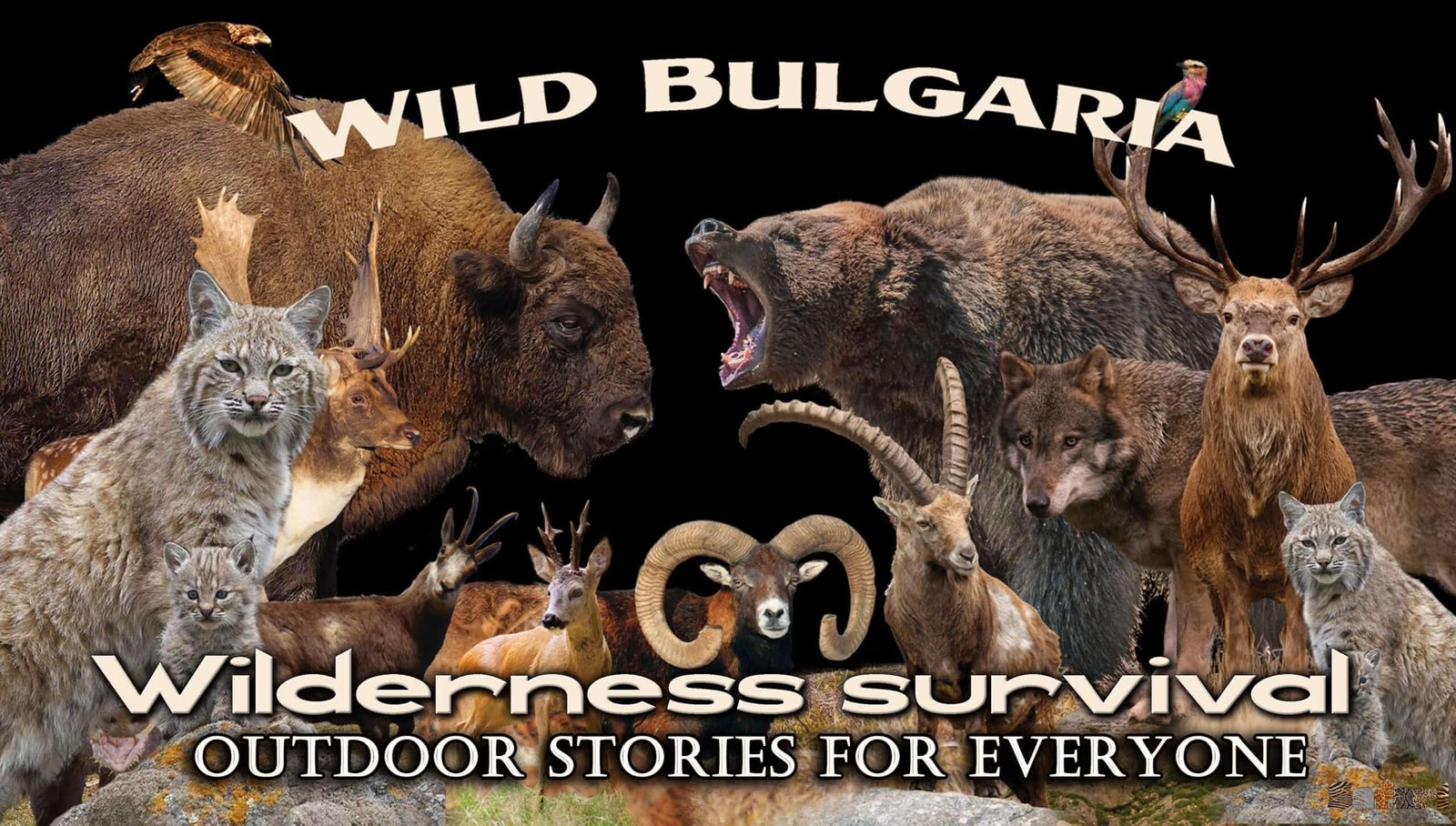 Wilderness survival: Wild Bulgaria 3