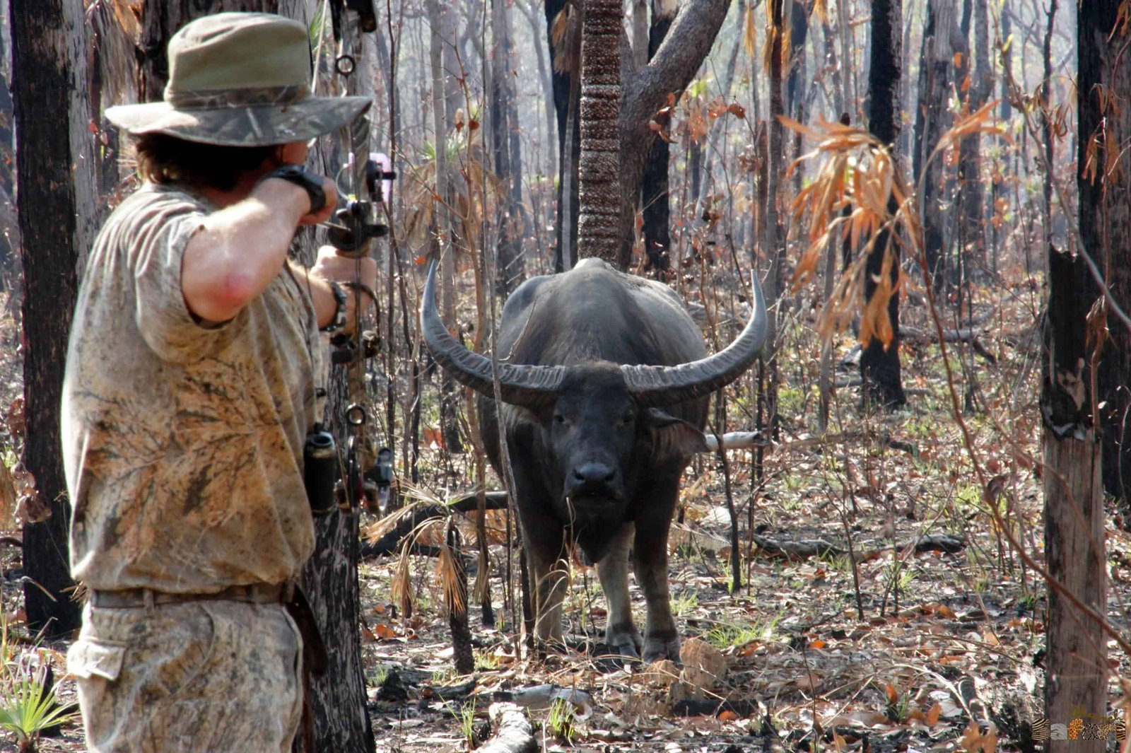 Сафари в Австралия