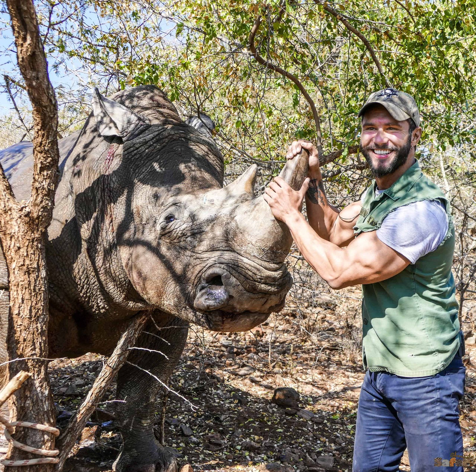 Зелен лов за бял носорог
