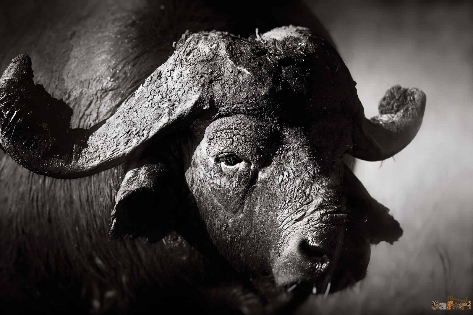 Черната смърт на Африка