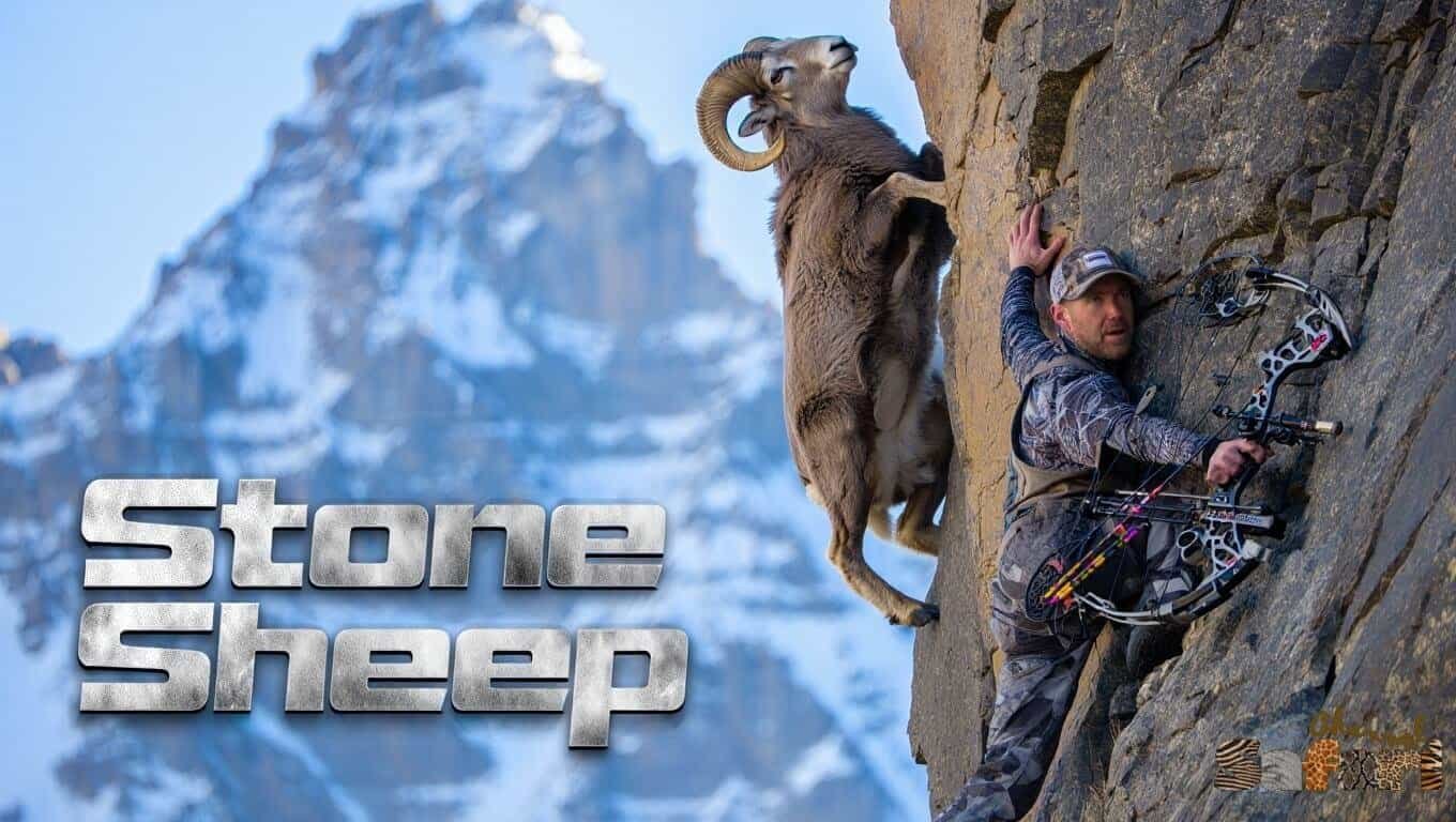 Stone Sheep: Adventure Bowhunter 12/1