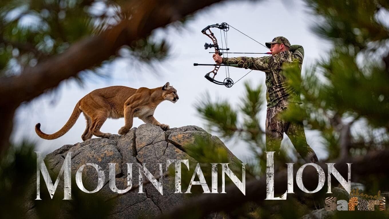Mountain Lion: Adventure Bowhunter 8/2