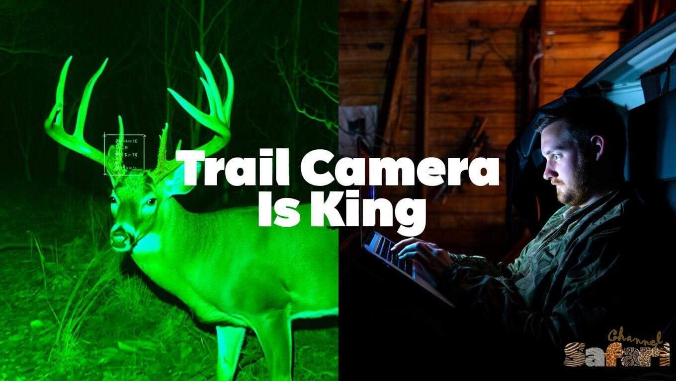Trail Camera Is King: Dominant Bucks 3/1