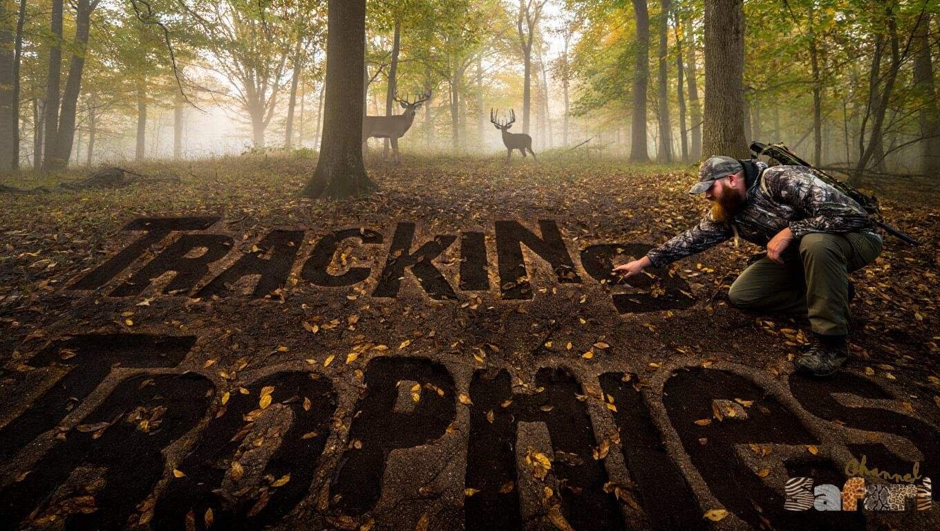 Tracking Trophies: Dominant Bucks 4/1