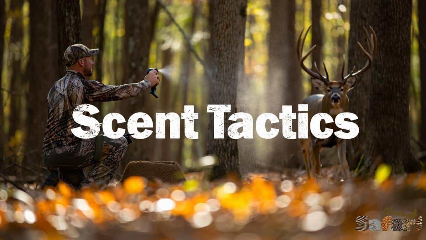 Scent Tactics: Dominant Bucks 9/1