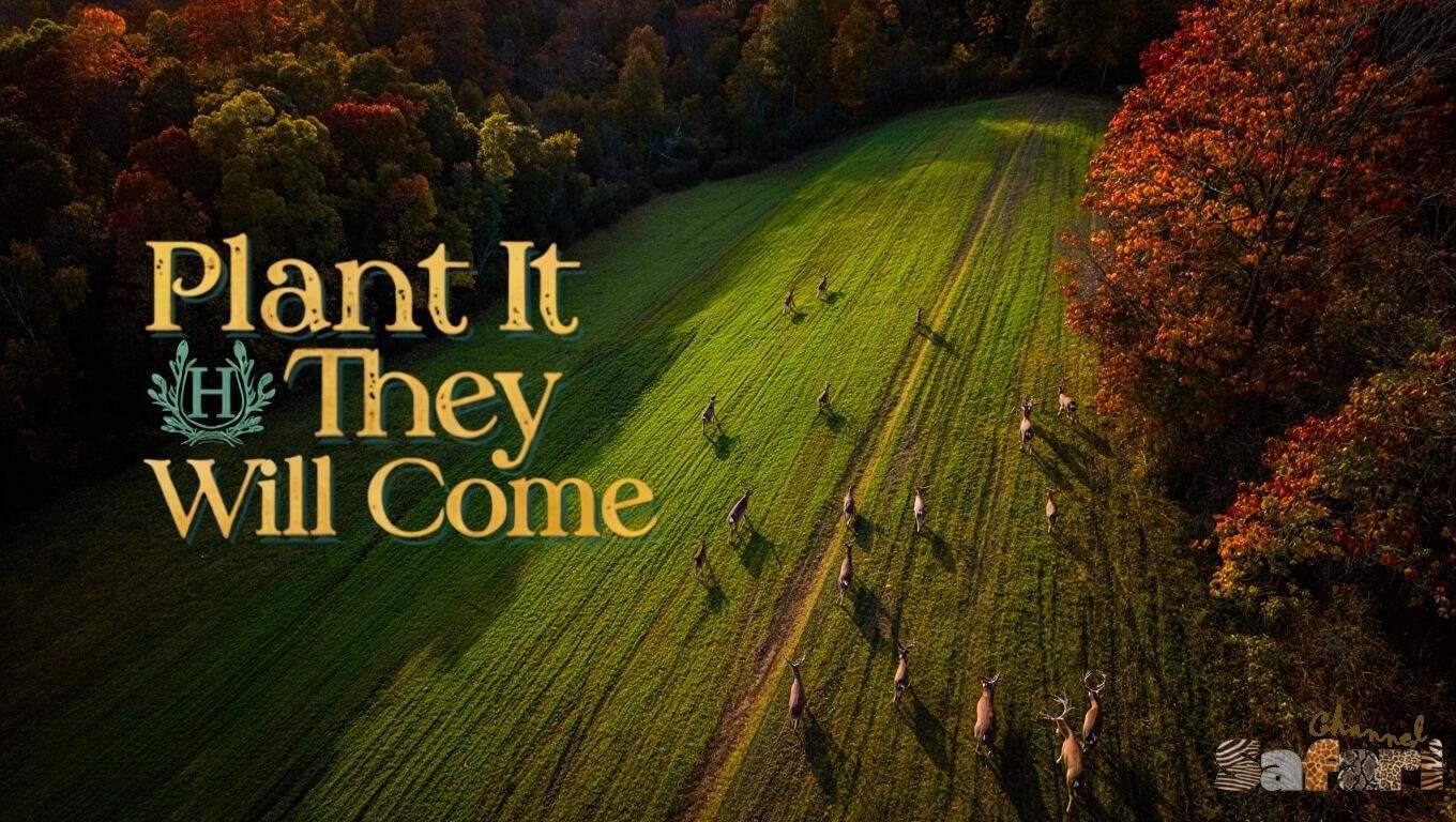 Plant It They Will Come: Dominant Bucks 2/2