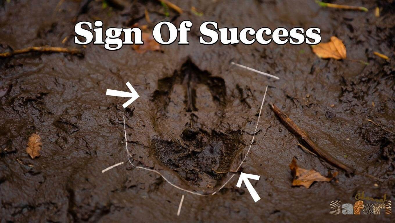 Sign Of Success: Dominant Bucks 7/2