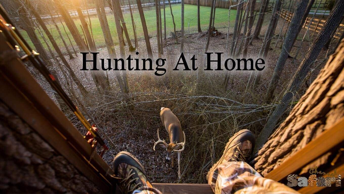 Hunting At Home: Dominant Bucks 8/3