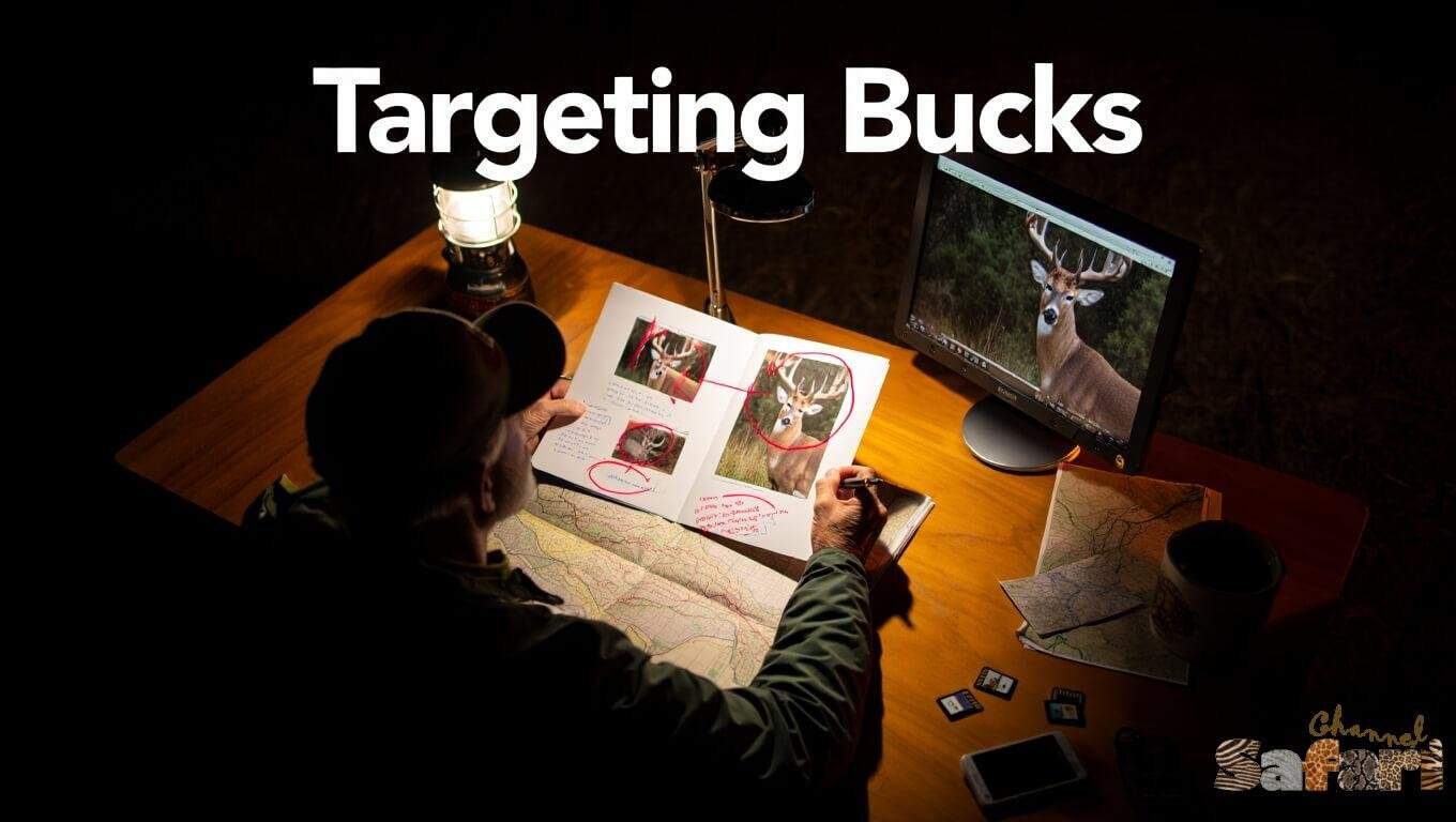 Targeting Bucks: Dominant Bucks 5/4