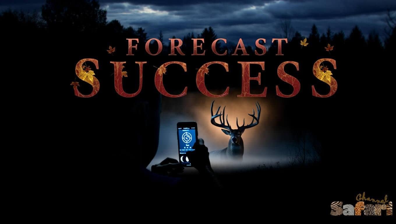 Forecast Success: Dominant Bucks 6/6