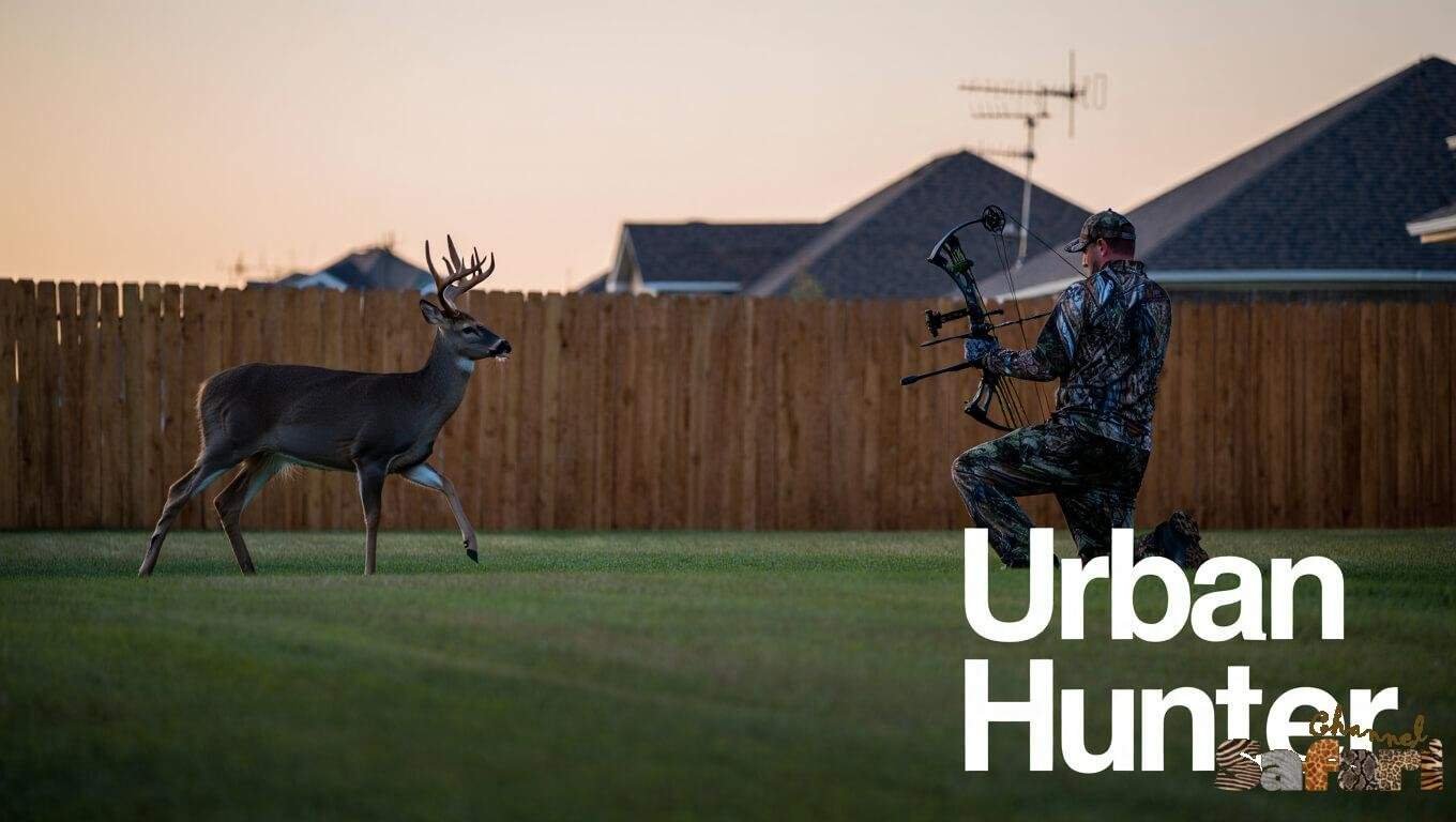 Urban Hunter: Dominant Bucks 5/8