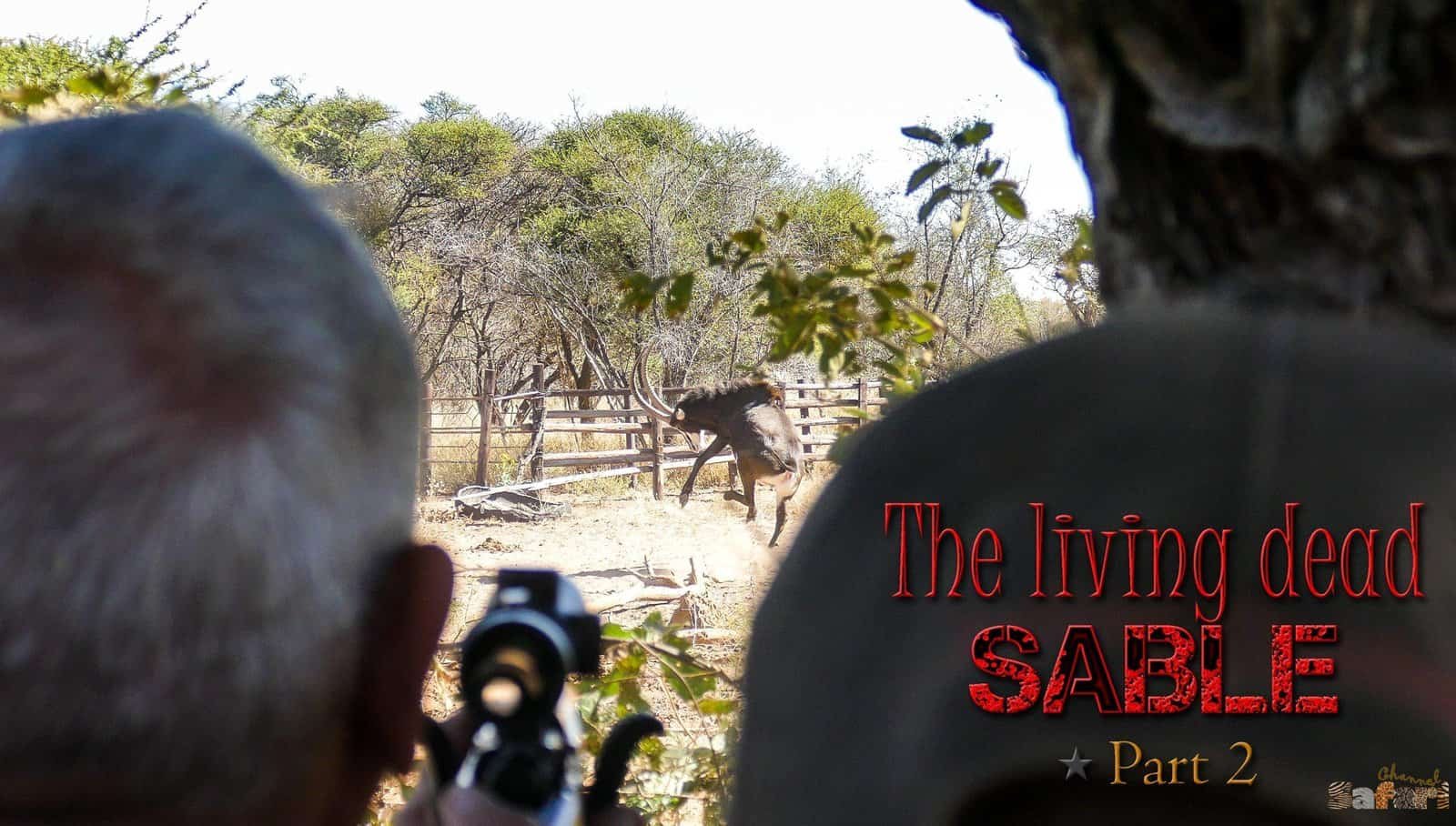 The living dead part 2: Invulnerable Sable: Safari Season 72/6