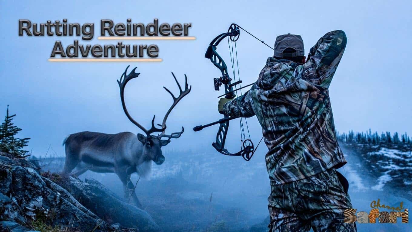 Rutting Reindeer Adventure: Territories Wild 3/1