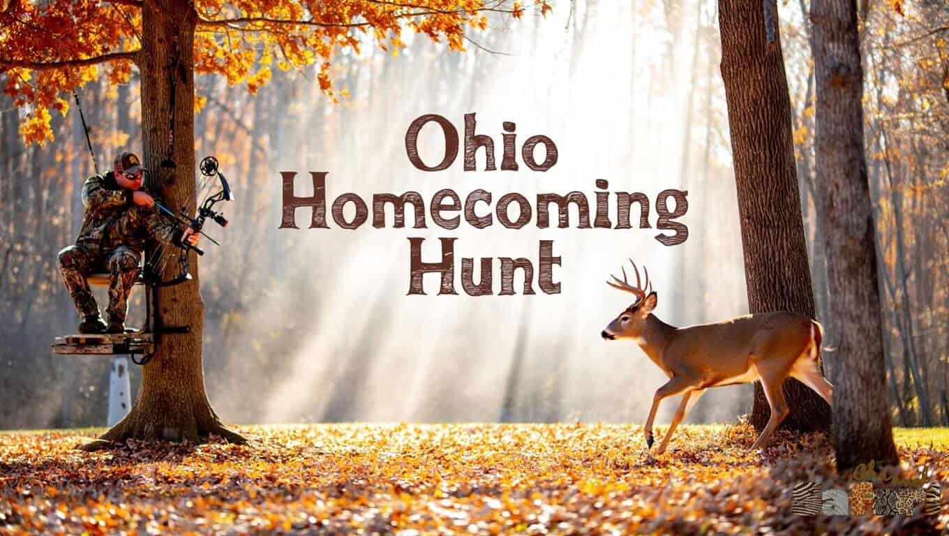 Ohio Homecoming Hunt: Territories Wild 8/1