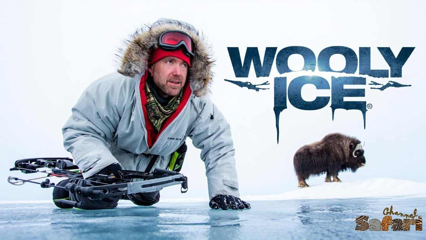 Wooly Ice: Territories Wild 13/5