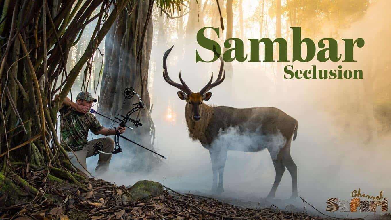 Sambar Seclusion: Territories Wild 14/6