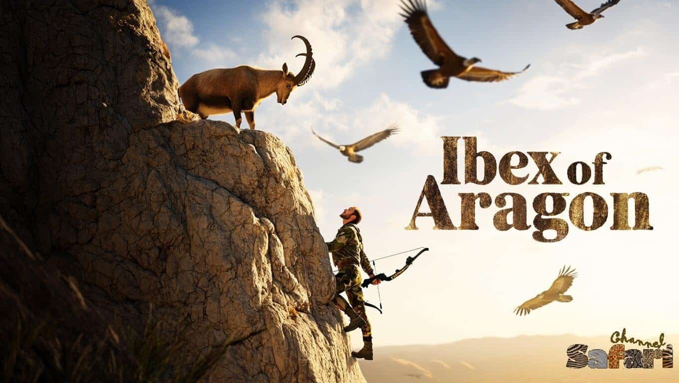 Ibex Of Aragon: Territories Wild 17/6