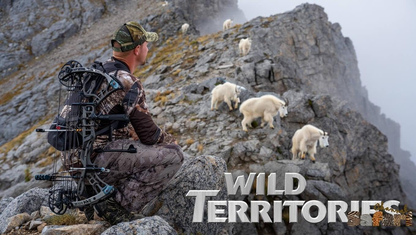 Wild Territories: Territories Wild 11/8